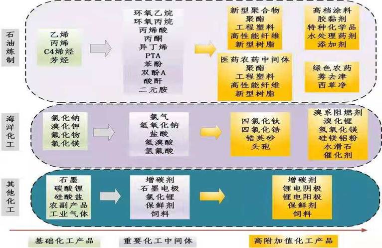 石化创新链—大连化物所（孙承林）