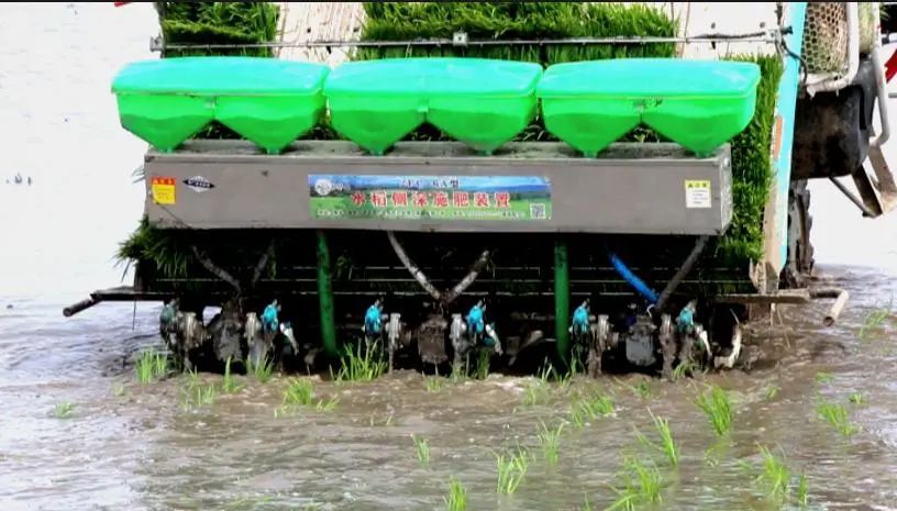 https://zbhk-new.lnyun.com.cn/www/yingkou/images/202305/518113127724750071.jpg