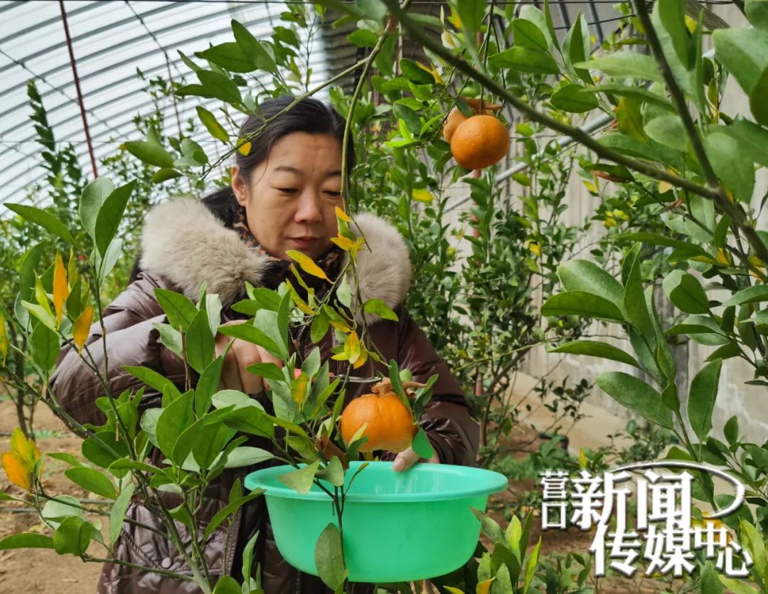 https://zbhk-new.lnyun.com.cn/www/yingkou/images/202301/475036310877246894.jpg