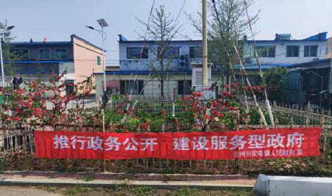 梁屯镇2025年度 “政务公开主题日”活动开展情况