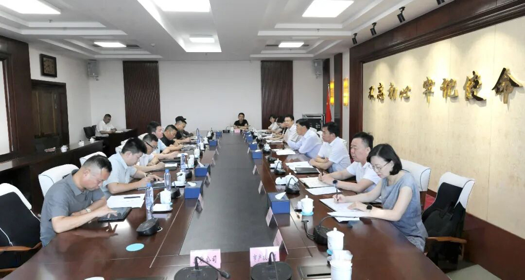 李军会见心里程控股集团有限公司创始人彭国远一行