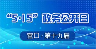 十九届政务公开日