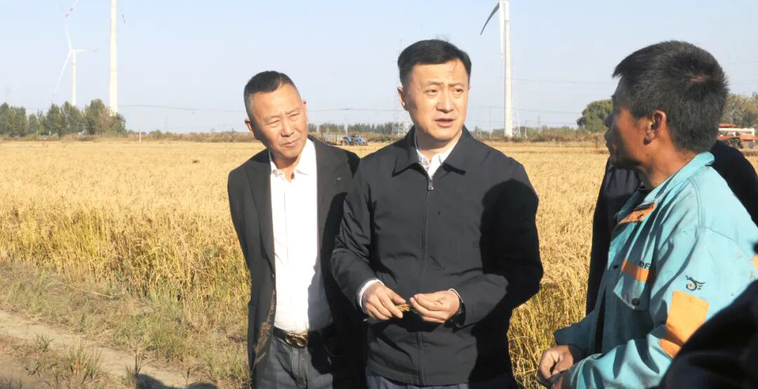 姚华明调研秋季农业生产工作