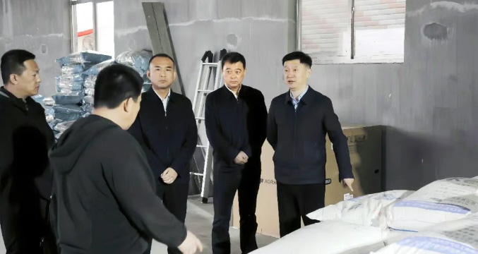 姚华明深入大石桥市调研高标准农田建设、春耕备耕及农村基层组织建设工作
