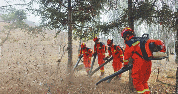 辽宁营口：实战演练 救灭山火